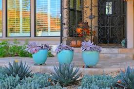 Image result for Sedum