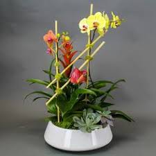 Davie flower market 5101 s university. Field Of Flowers Fieldofflowers Profile Pinterest