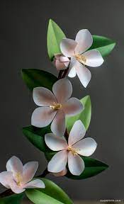 Pin On Flowers Paper