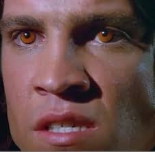 Does anyone remember the ABC show 'Lucan' the wolf boy?