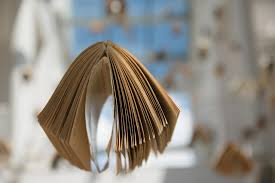 Kan Iedereen Een Boek Schrijven Denise Hulst