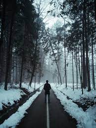 Looking for the best wallpapers? 20 000 Best Alone Photos 100 Free Download Pexels Stock Photos