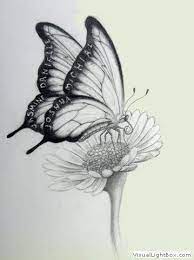 Tattoo Papillon 85 Jpg 359 480 Butterfly Tattoo Butterfly Tattoo On Shoulder Butterfly Tattoo Meaning
