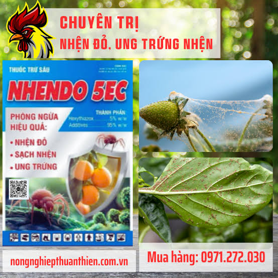 Nhendo 5EC