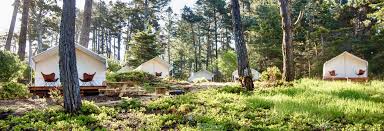When it comes to camping, mendocino is a gold mine. Mendocino Grove