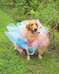 This diy dog costume might take longer to make than some of the others, but the end result is one creative diy dog costume idea is to use toile fabric and white rope to create a giant loofah. Easy Loofah Dog Costume