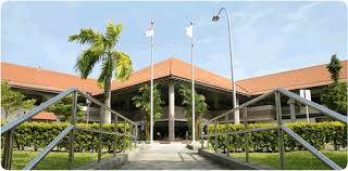 Visit Imh Programme For Organisations And Schools Institute Of Mental Health