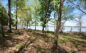 Lake bob sandlin real estate. 2 53 Acres Scroggins Tx Property Id 10548262 Land And Farm