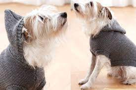 Hobbii cotton from $1.60 · free patterns · knitting and crochet 12 Dog Sweaters And Other Knitting Patterns For Pups