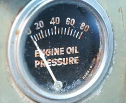 Baiji dolphin description, behavior, feeding, reproduction, baiji dolphin threats and more. How Do You Know If The Oil Pressure Gauge Is Bad Yourmechanic Advice