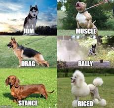 Car Dogs Car Memes Car Guy Memes Truck Memes