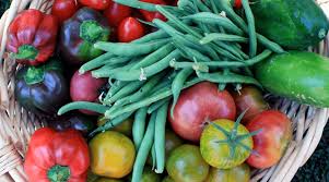 Many people prefer to place seeds in flowerpots, paper cups or small flats. Everything You Need To Know About Organic Vegetable Seeds