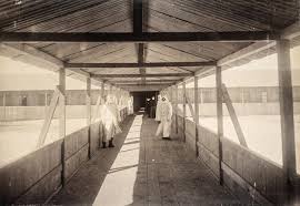 The Epidemic Conflagration - The Classic