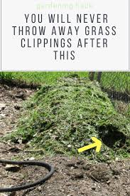 It is best if they are composted first for several reasons. Here S Why You Ll Never Throw Away Grass Clippings After This Grass Clippings Gardening Tips Gardening For Beginners