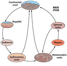 Common Rock Hand Speciemns