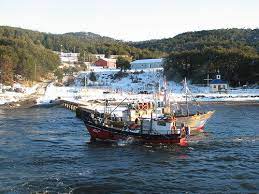 Puerto Toro Chile Chile Puerto Fishing Boats