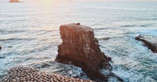 Bildergebnis für Reading Oceania