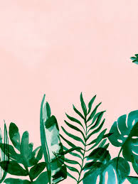 Aesthetic Tropical Summer Wallpaper Desktop Search your top hd images for your phone, desktop or website. aesthetic tropical summer wallpaper desktop