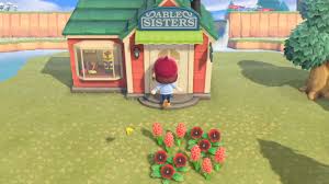 Talk to him and he will talk about the museum shop. How To Unlock Able Sisters In Animal Crossing New Horizons Gamesradar