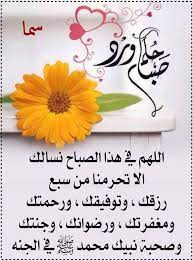 صباح الخير والرضا والمحبه والسعاده لكم احبتى ومتابعى الله يسعدكم أينما كنتم good night blessings tableware pictures