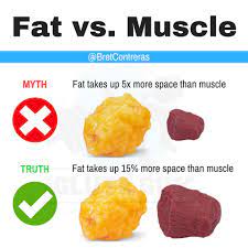 Bret Contreras Phd Please Share This So We Can Clear Up This Misconception I M Sure You Ve Seen The Images Floating Around The Internet Showing What 5lbs Of Fat Vs 5lbs Of