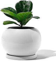 Amazon Com Potey Planter Ceramic Plant Flower Pot 4 2 Inches Large Indoor Glazed Container Bonsai With Drainage Hole Planting Flowers Ceramic Pot Planters