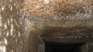 This is why it's important to occasionally examine your ducts for any leakage, which can cause mold. Bad Smell From Central Air Conditioner What Causes Moldy Smell