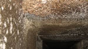 Use a hvac (heating, ventilation, air conditioning) mold cleaner on the inside of the air conditioning unit. Bad Smell From Central Air Conditioner What Causes Moldy Smell