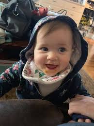 Where is the best pumpkin pie to order for thanksgiving?