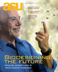 University nurtures a hive of nature-inspired researchers