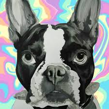 Please contact your favorite stores and restaurants directly with any questions. Books A Million Home Facebook