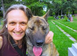 Walking jindo dogs at pine hills cemetery