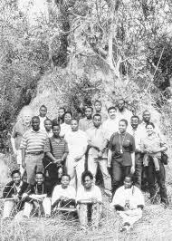 Image result for Brachystegia michelmorei