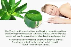 Ac Pacific Soft Aloe Collection 8 Inch Luxury Soft Bedroom Aloe Vera Extract Infused Fabric Cover Memory Foam Mattress Cover Memory Foam Mattress Foam Mattress