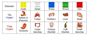 Organs And Elements Organs Free Download Printable E Book