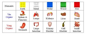 organs and elements organs free download printable e book