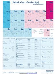 1 Amino Acid Chart Templates Free Templates In Doc Ppt