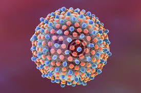 Impact of treatment against hepatitis c virus on overall survival. Hepatitis C Virus Modell Ein Virus Besteht Aus Einem Proteinmantel Fototapete Fototapeten Blutubertragung Antivirale Virologie Myloview De