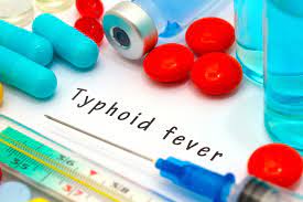 Cholesterol-lowering medication may help fight salmonella infection, but  increase risk of typhoid fever - Homeland Preparedness News