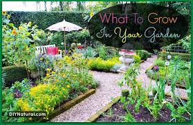 Outdoor planter ideas & projects • the garden glove | outdoor planters, backyard, garden projects. What To Grow In A Garden