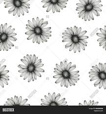 Vintage floral black and white pattern. Black White Daisy Image Photo Free Trial Bigstock