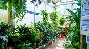 Gertens guide to buying & planting a potted tree. Garden Center Good Earth Garden Center And Landscaping