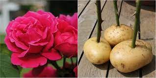 Across the 3 stages of life, we're typically missing at least one of 3 elements: 20 Awesome Life Hacks That Will Simplify Your Life Bright Side