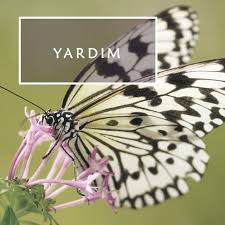 Volkan Ulusan La Yasami Kesfet Panosundaki Pin