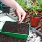 Introduction to Propagation - Seeds and Simple event image