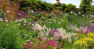 This tender perennial is planted as an annual in most regions. 17 Flowering Perennials That Will Grow Anywhere Gardener S Path