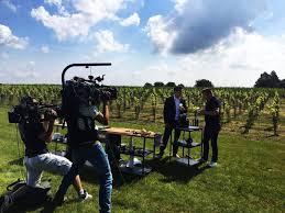 Mega deal 44% off kitchen appliances, home appliances, household appliances, major appliances, 220v household food garbage disposal food residue crusher sewer rubbish disposal crusher grinder kitchen sink appliance latest update pricebig sales flash sales discount review. August 2016 Spinelli S Dolce Vita