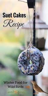 Diy Wild Bird Suet Feeder Suet Cakes Bird Suet Birds