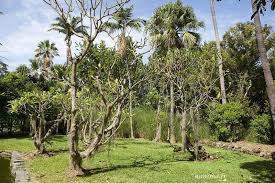 Une Balade Dans Le Jardin D Eden De L Ermitage Jardins Jardin Deden Jardin Tropical