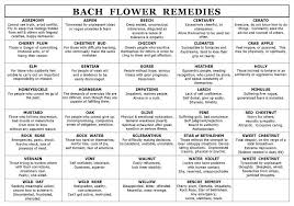 Bachflowerremedieschart Bach Flowers Holistic Remedies
